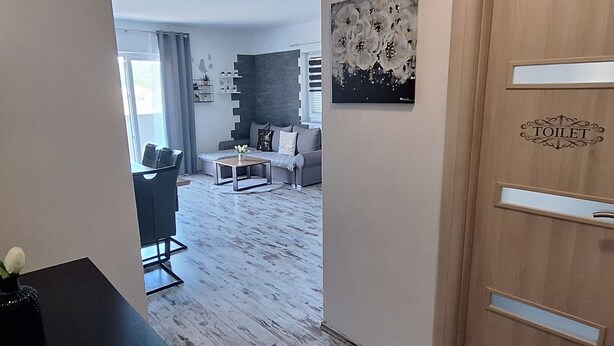 A modern living room with a grey sofa, a coffee table, and a painting on the wall. - Belisima Delux - One Bedroom Apartment With Sea View (Rab)