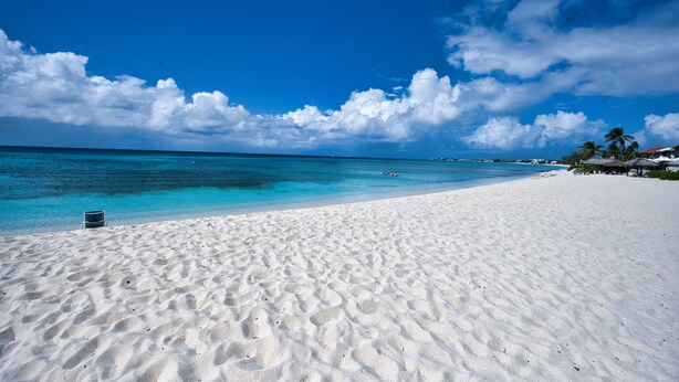 A beach with white sand, clear blue water, and a few palm trees. - Beach Bliss by 7M Beach (West Bay)