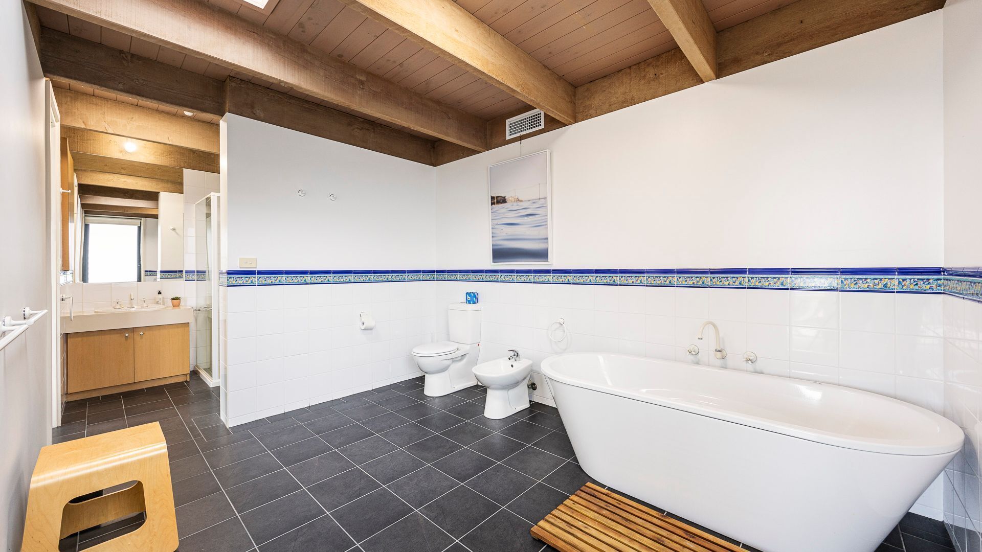 Shower, hair dryer, bidet, towels