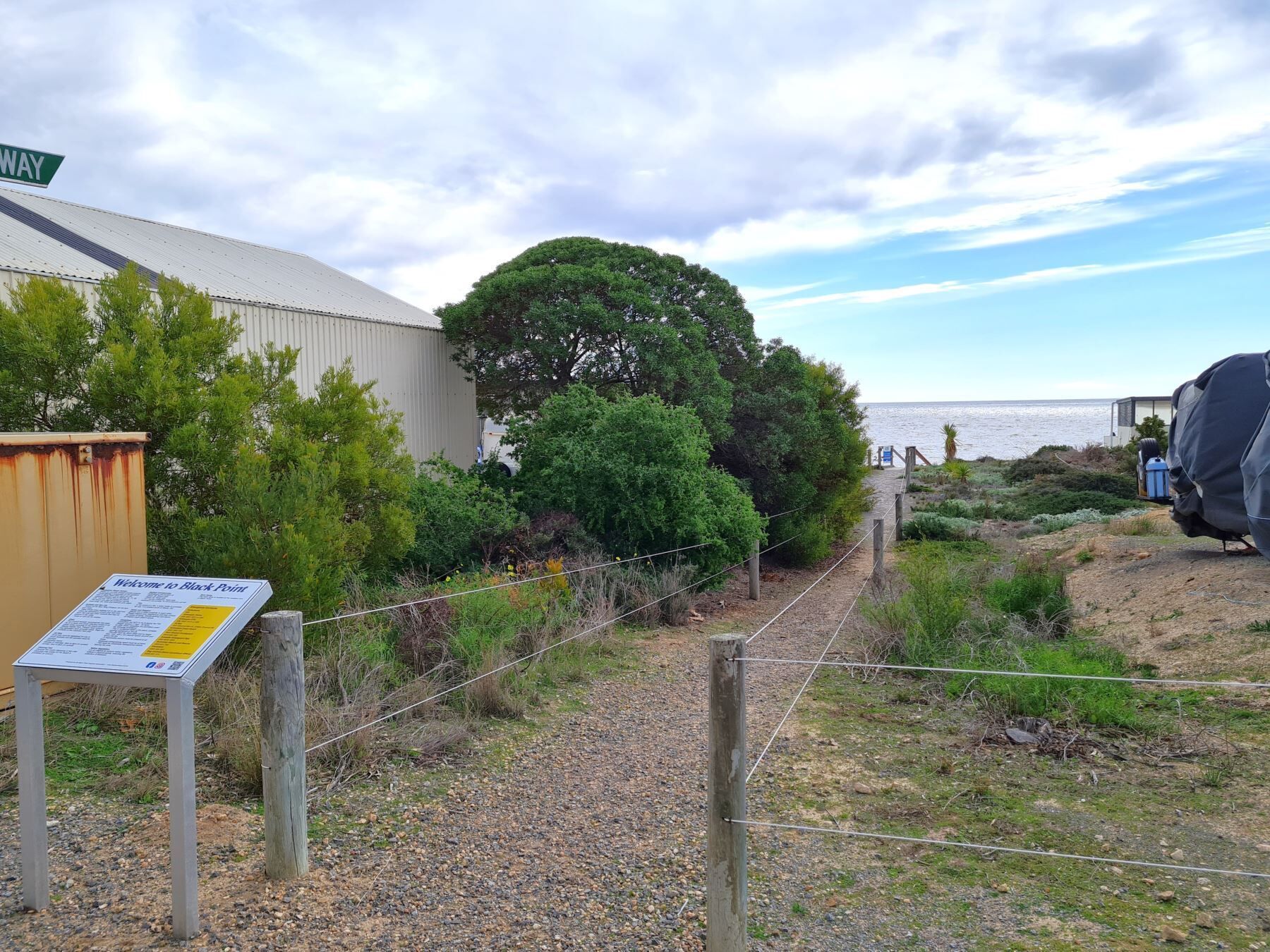 A gravel path leading to a beach with a signboard and a large tree.