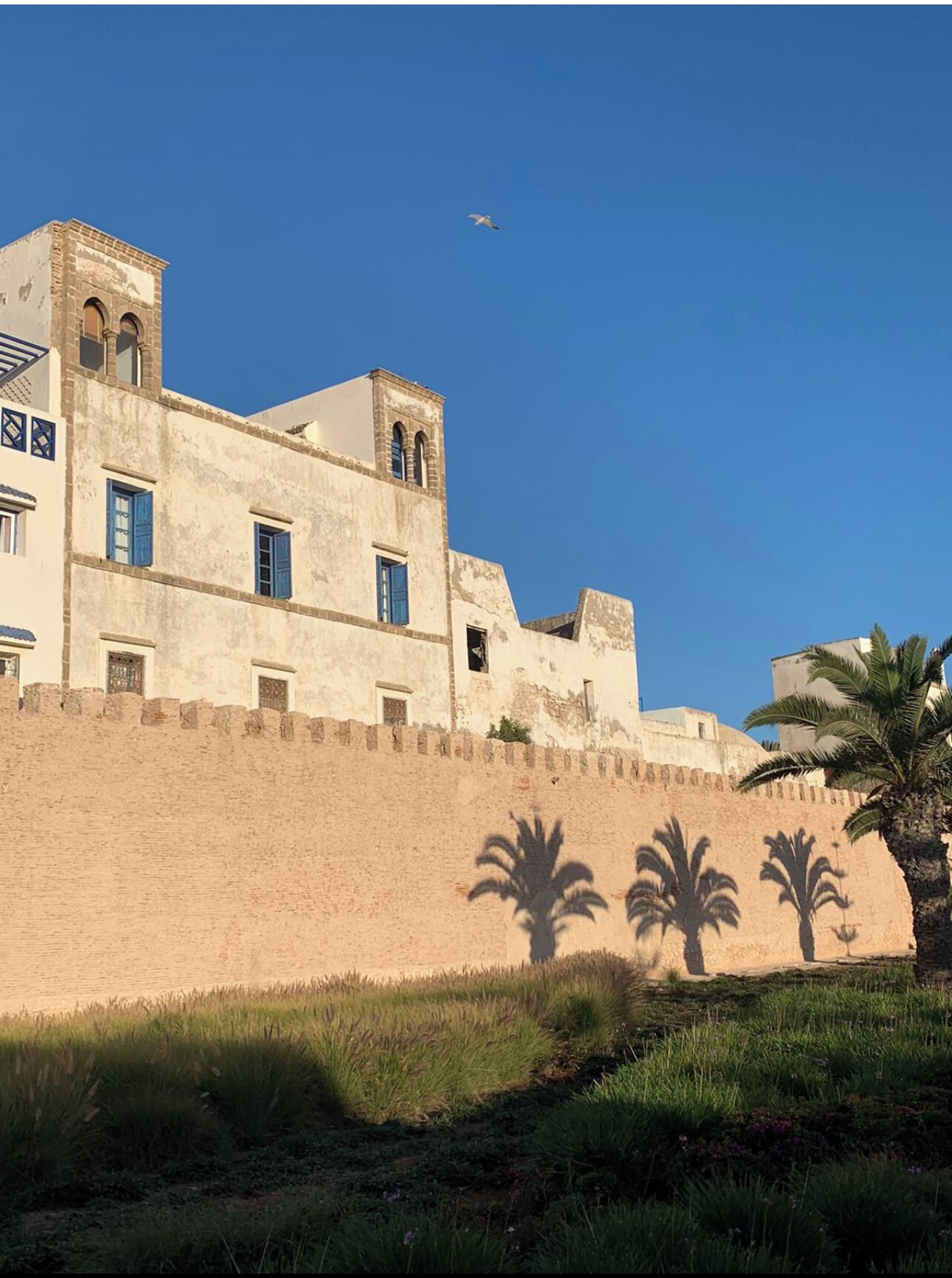 A historic building with a fortified wall, arched windows, and a palm tree in the foreground.