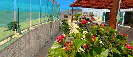 Apartament bàsic | Terrassa o pati