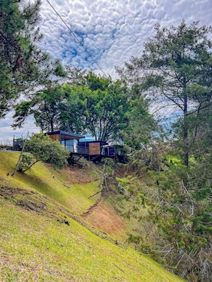 A modern house with a wooden deck and a large tree in front. - Elemen Retreat (El Peñol)