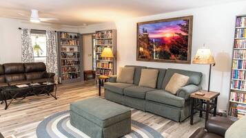 TV connectée, cheminée, livres