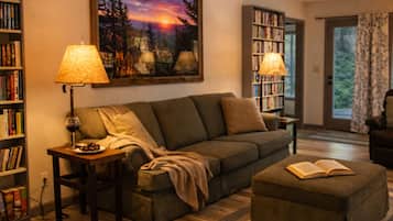 Smart TV, fireplace, books