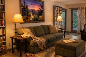 Smart TV, fireplace, books