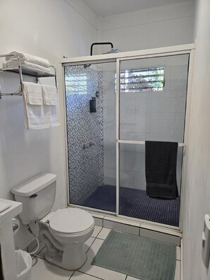 Shower, hair dryer, towels, soap