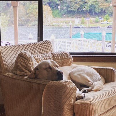 Amazing riverfront property on the Siuslaw! 