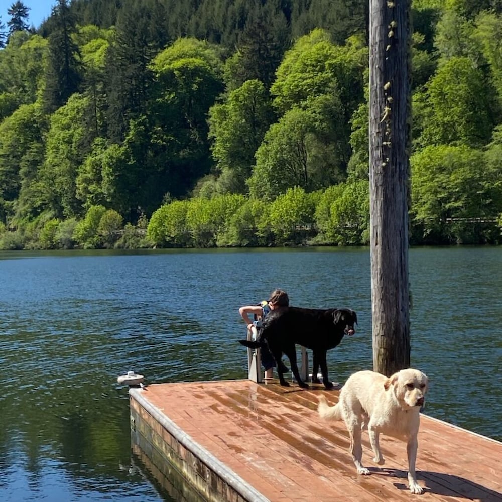 Amazing riverfront property on the Siuslaw! Mapleton Vrbo