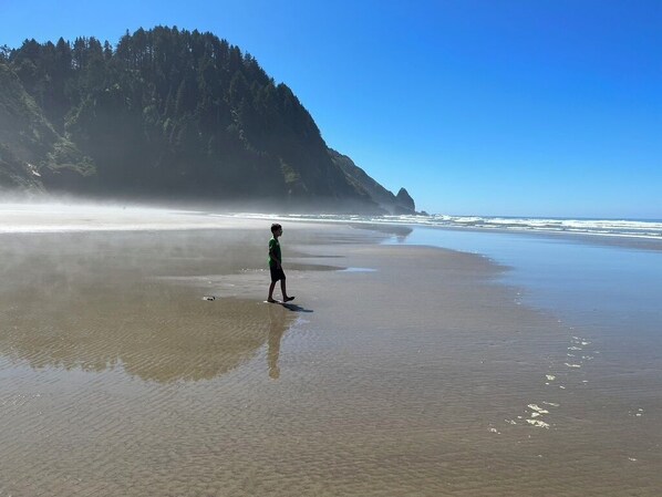 Beach - Amazing riverfront property on the Siuslaw! (Mapleton)