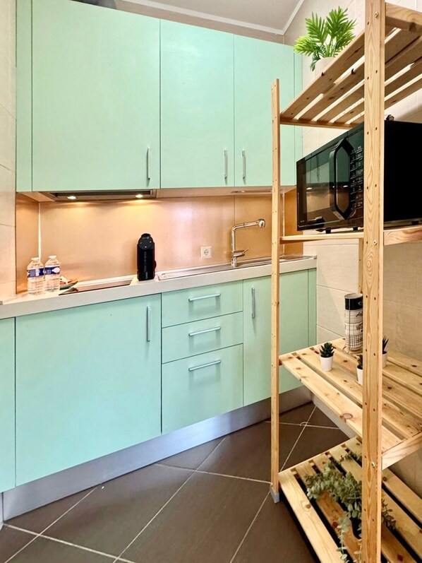 A kitchen with light green cabinets, a stainless steel sink, a black coffee maker, and a wooden shelf with plants. - Elegant one bedroom w private terrace (Luxembourg City)
