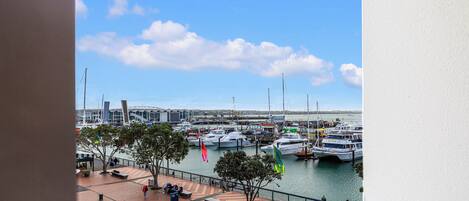 Vista desde la propiedad