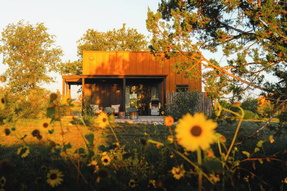 Ein modernes Haus mit überdachter Veranda, umgeben von Bäumen und Wildblumen.