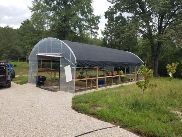 Property grounds - Remote 64 acre forest with fishing pond, cabin, barn, greenhouse, (Linden)