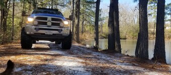 Remote 64 acre forest with fishing pond, cabin, barn, greenhouse,