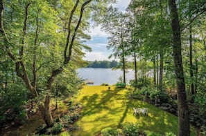 Un jardín tranquilo junto al lago, con vistas despejadas, rodeado de abundante vegetación y árboles.