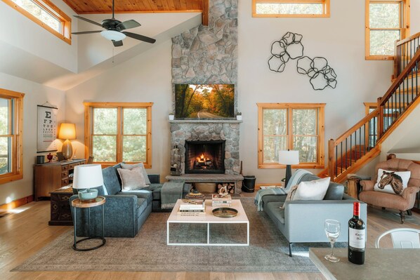 Smart TV, fireplace, books, stereo