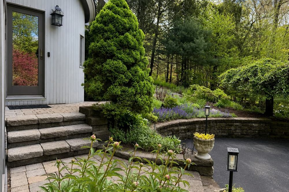 Sunny Peace Homestay - Connecticut