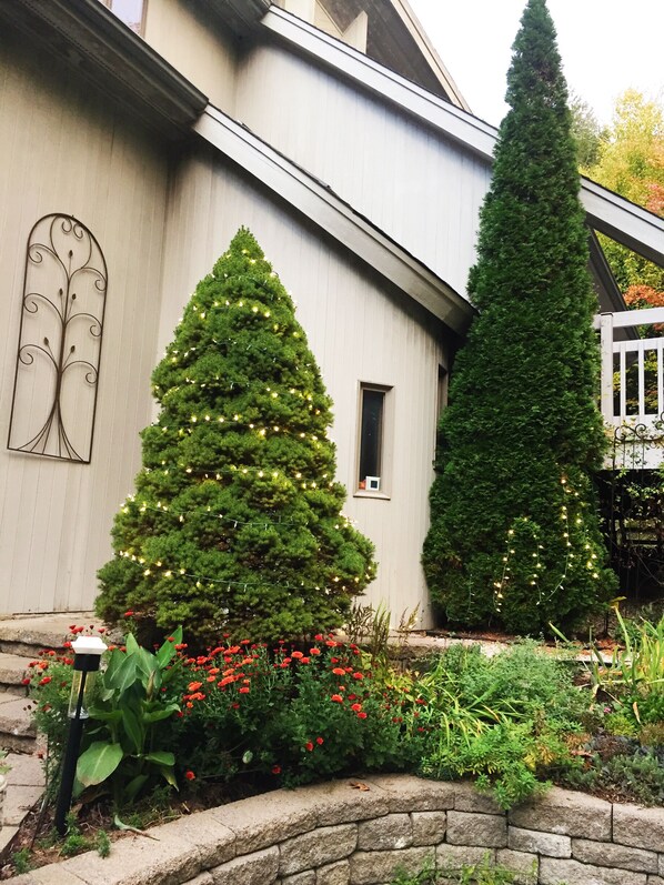 Front of property - Sunny Peace Homestay (Harwinton)