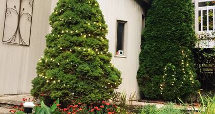 Sunny Peace Homestay