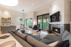 TV, fireplace
