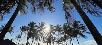 Beach house, 3 bedrooms 80 meters from the beach!