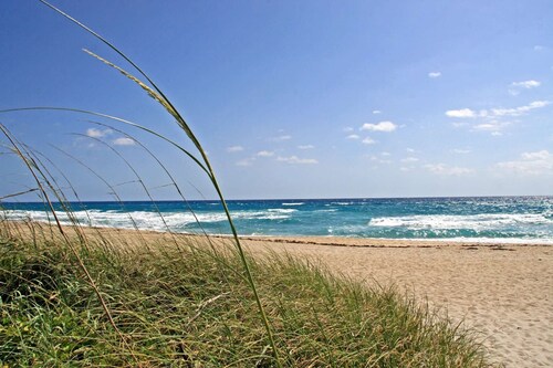 405n Boardwalk Suite 1 Bedroom, Pools, Jacuzzi, Beach, Shops & Dog Friendly