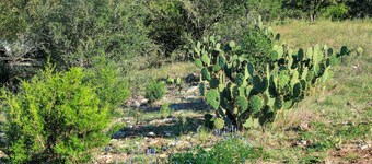 Box 3- A Birdy Vacation Rental