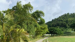 A paved pathway in a park with lush greenery and trees on both sides. - Modern, Cozy, Airy 3-Bedroom Tropical Escape in Oceanpointe, Hanover, Jamaica (Lucea)
