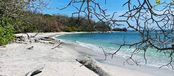 Unique cosy retreat in the jungle of Costa Rica 