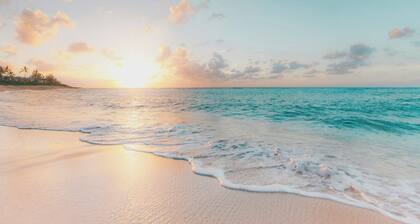 Unique cosy retreat in the jungle of Costa Rica