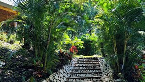 Eine steinerne Treppe, umgeben von üppiger Vegetation und tropischen Pflanzen.