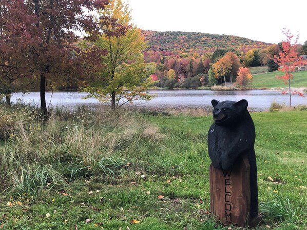 Property grounds - Luxury waterfront ski cabin, 4-bedroom house and office, monthly only (Prattsville)