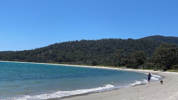 Beach nearby, white sand