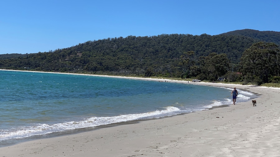 Blossoms on the Bay - 4 Bedrooms