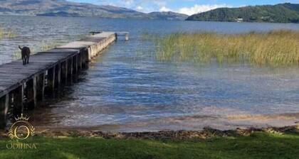 Paradise cabin with dock!