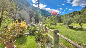 Un paysage rural avec une maison entourée d’une végétation luxuriante et de plantes en fleurs.