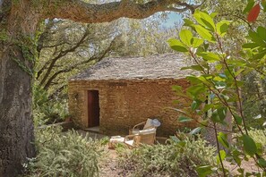 Property grounds - Villa Canapaggio (Pietracorbara)