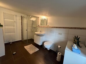 Shower, hair dryer, towels