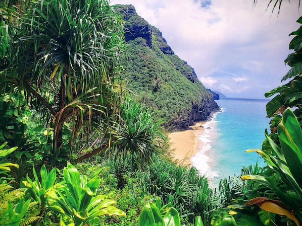 Una playa cerca