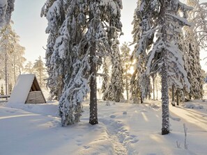 A snow-covered forest with a wooden cabin.