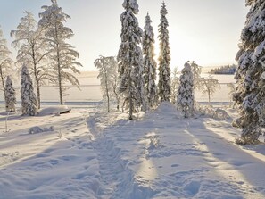 A snowy landscape with a clear path leading through a forest of snow-covered trees.