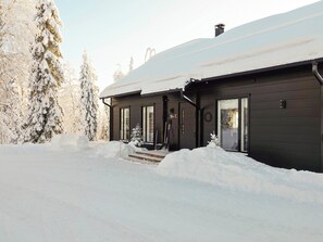 A modern two-story house with a dark exterior, surrounded by snow-covered trees and a snow-covered roof.