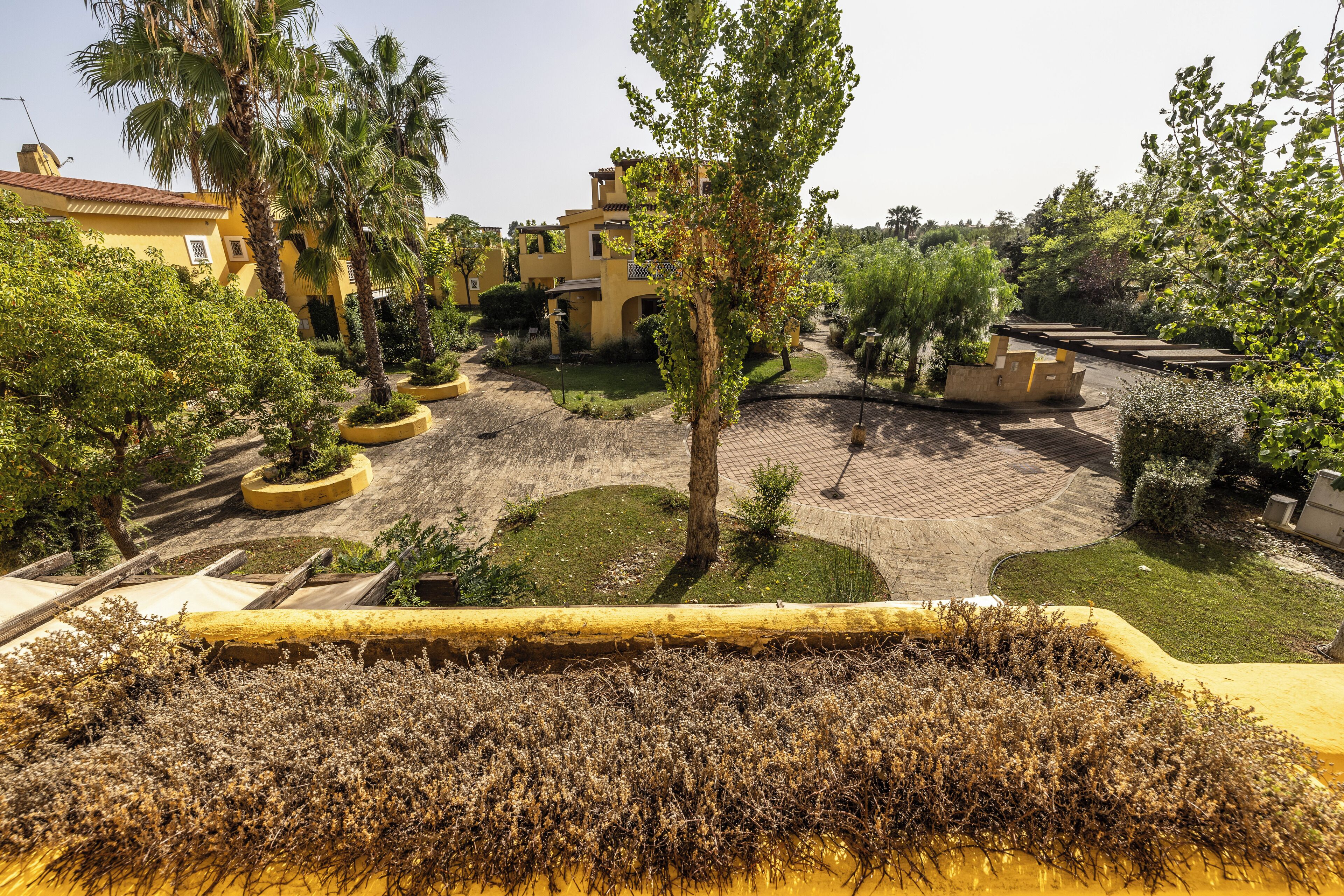 A courtyard with palm trees, a yellow building, and a paved area.