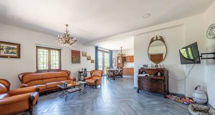 Lo Specchio Di Alice