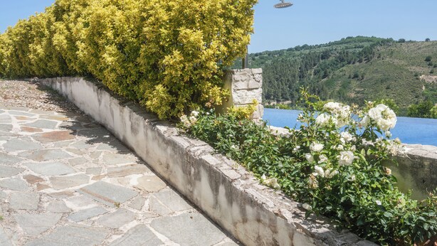 A stone pathway leading to a garden with yellow and white flowers, a stone wall, and a view of a lake and hills in the background. - Villa in Vigna Apartment (San Mango sul Calore)