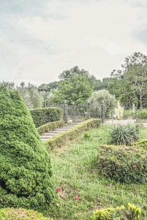 A garden with a metal gate, various plants, and a pathway.