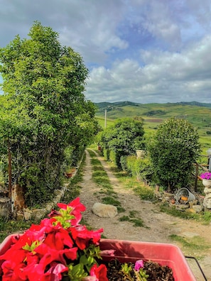 Exterior - Villa Aperta Campagna (Nicosia)