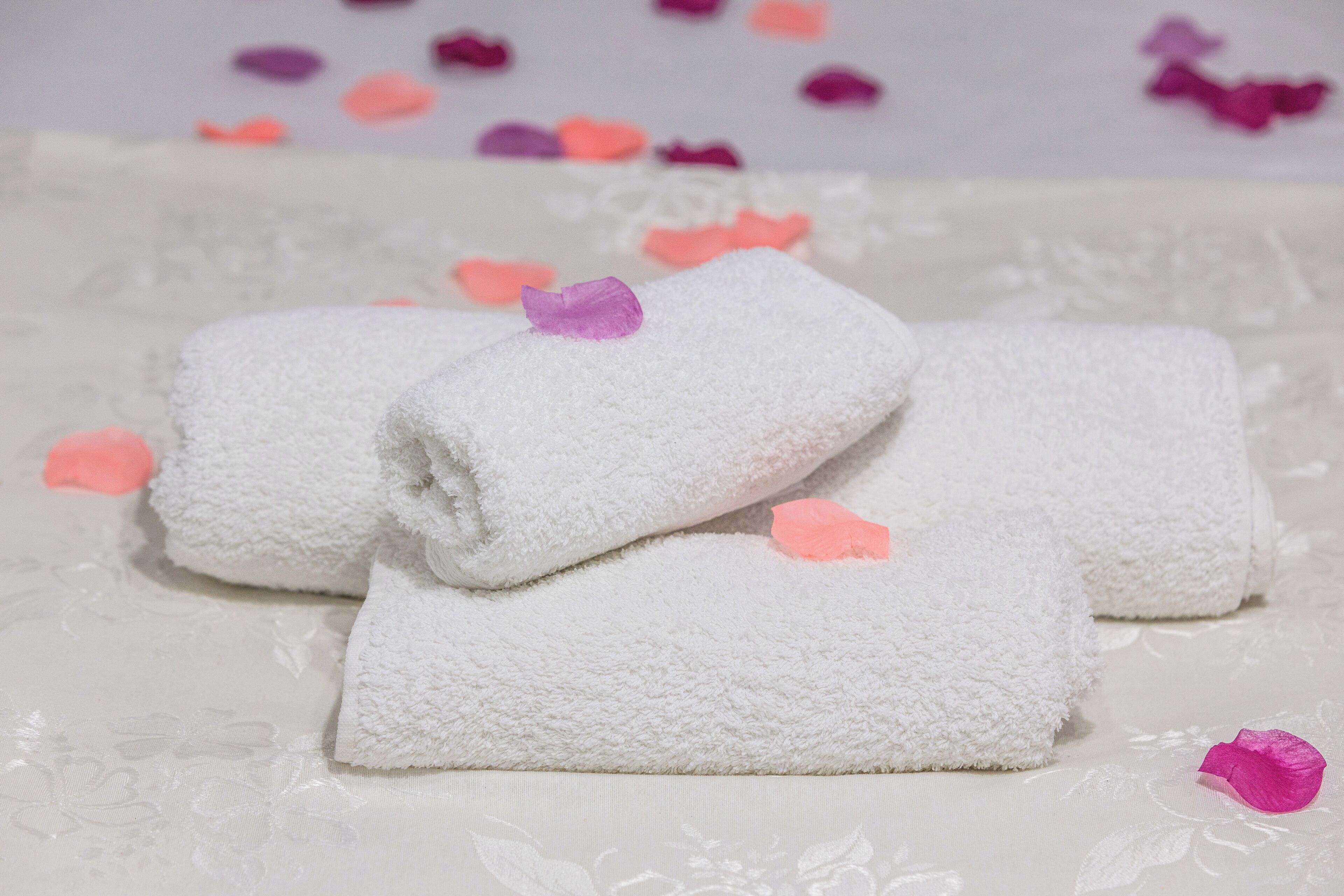 Foto - La Casa di Sciù Sciù