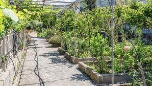 A narrow stone pathway flanked by lush greenery and a metal trellis structure. - Le Case nel Vitigno (Modolo)